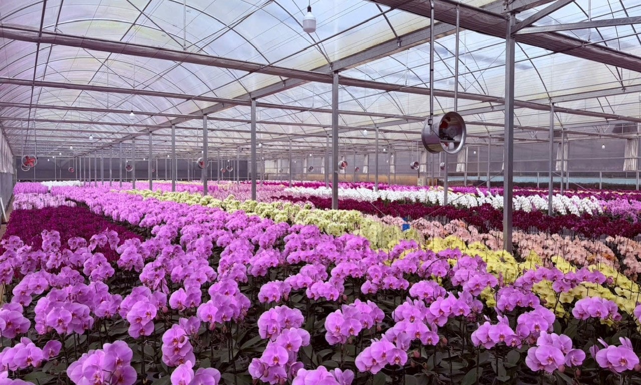 Giống cây trồng, vật nuôi